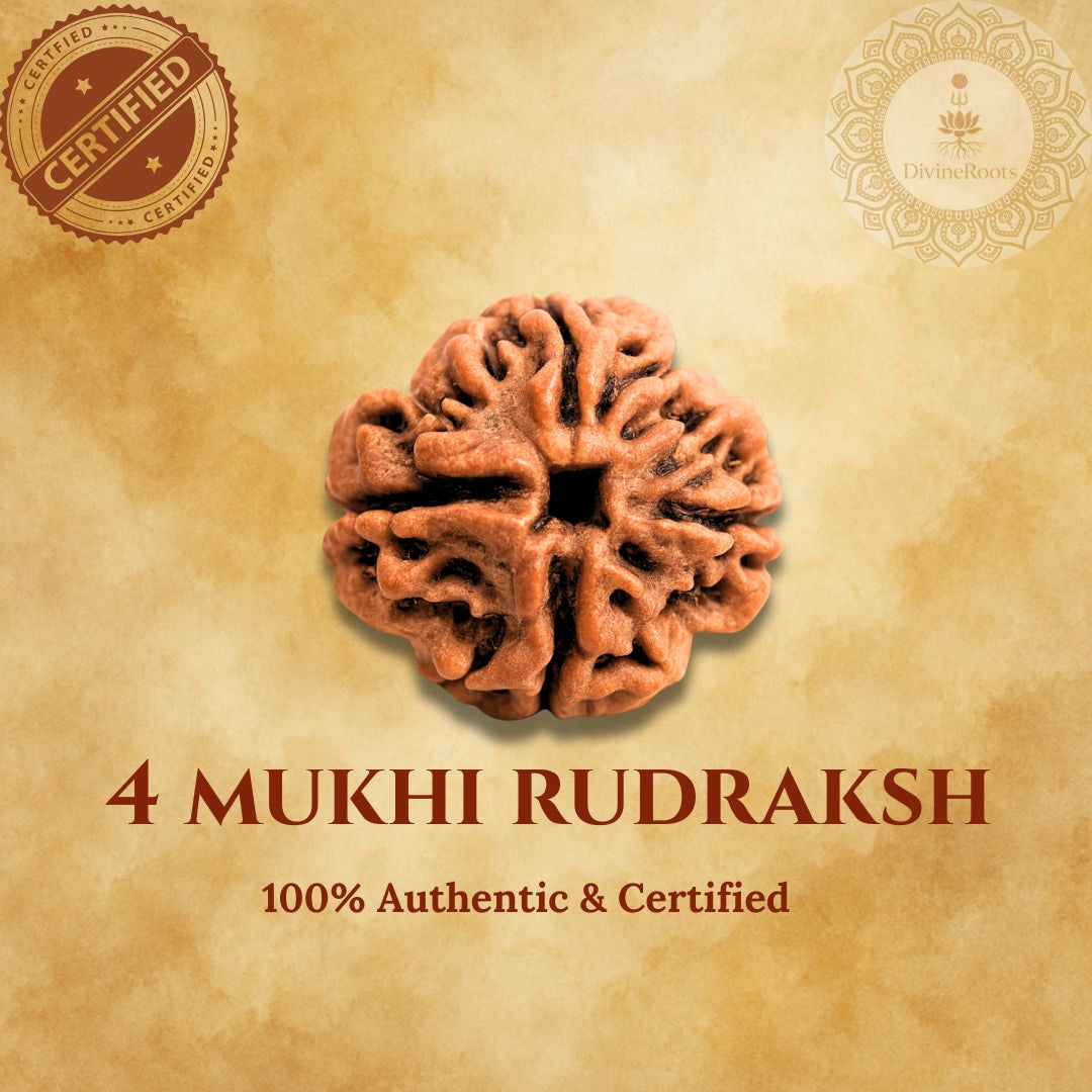 4 Mukhi Rudraksh on a beige background with certification logos.