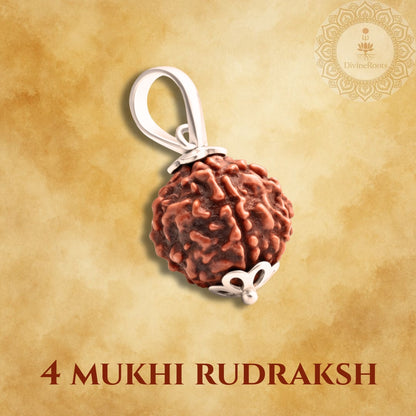 4 Mukhi Rudraksh pendant with silver setting on a beige background
