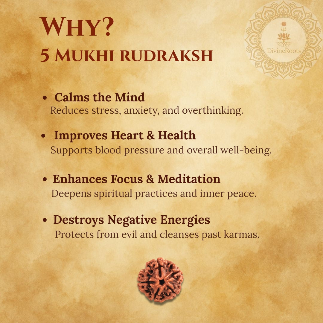 Promotional graphic for 5 Mukhi Rudraksh with benefits listed on a textured background.