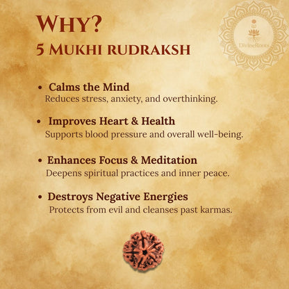 Promotional graphic for 5 Mukhi Rudraksh with benefits listed on a textured background.