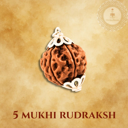 Five Mukhi Rudraksh pendant on a beige background with a brand logo.