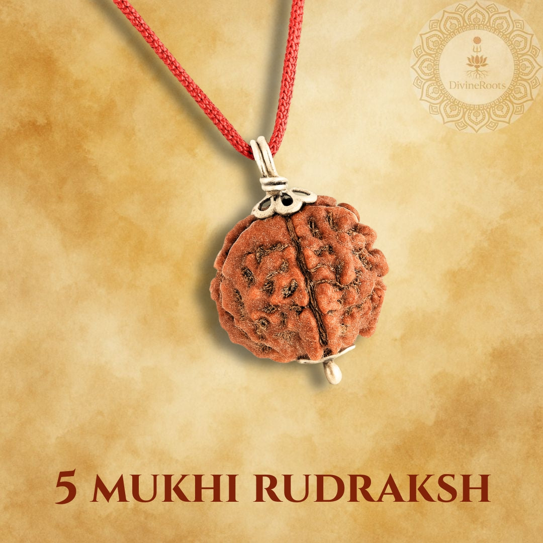 Five Mukhi Rudraksh pendant on a red cord with a beige background