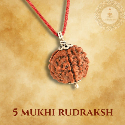 Five Mukhi Rudraksh pendant on a red cord with a beige background