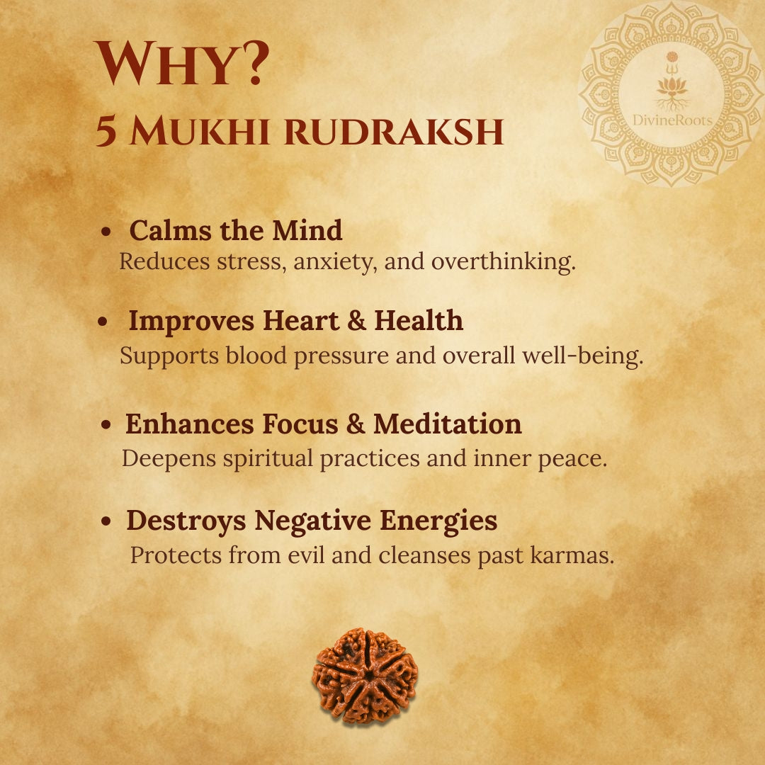 Promotional graphic for 5 Mukhi Rudraksh with benefits listed on a textured background.