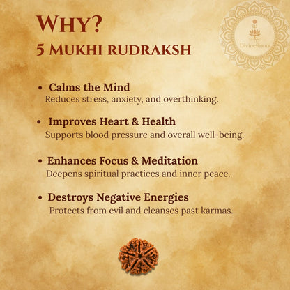 Promotional graphic for 5 Mukhi Rudraksh with benefits listed on a textured background.