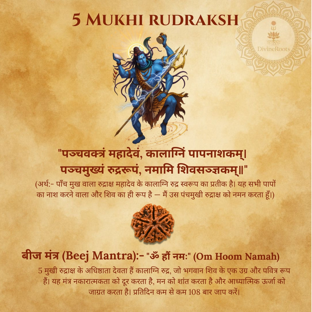 Five Mukhi Rudraksh with a warrior figure on a textured background