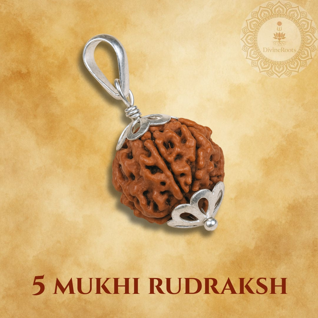 Five Mukhi Rudraksh pendant with silver clasp on a beige background