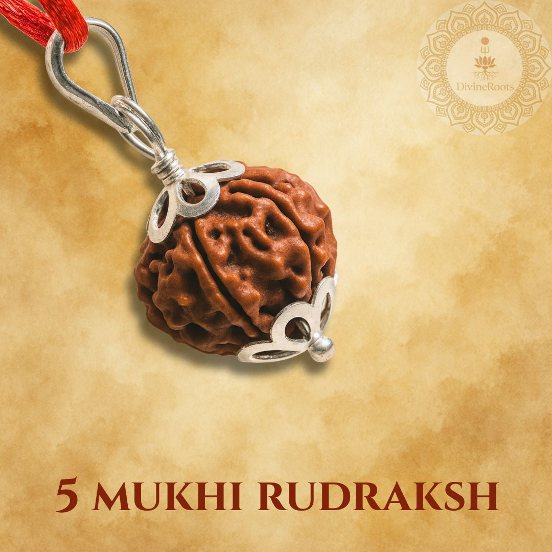Five Mukhi Rudraksh pendant with silver accents on a beige background
