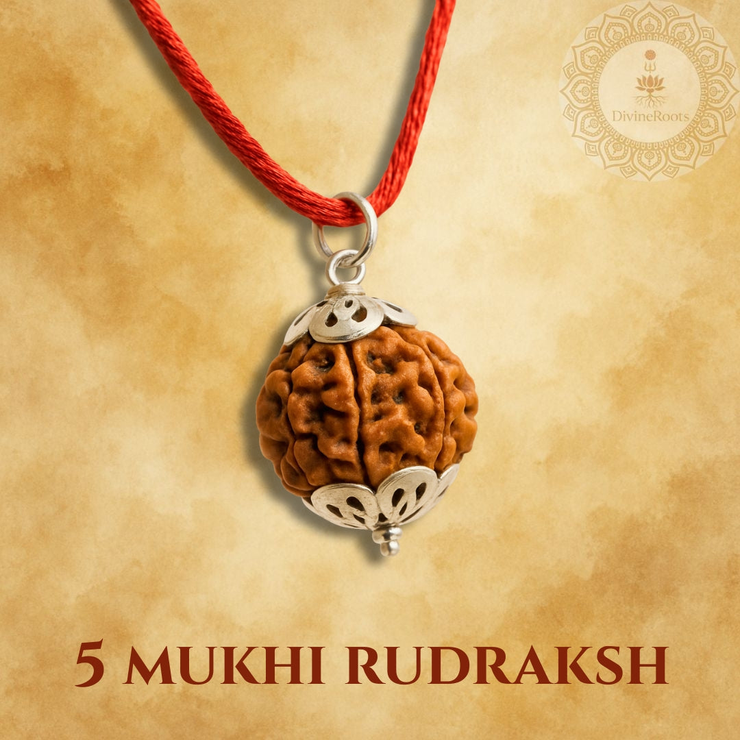 5 Mukhi Rudraksh pendant on a red string with a gold background