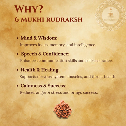 Promotional graphic for 6 Mukhi Rudraksh with benefits listed on a textured background.