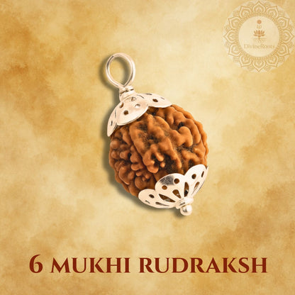 6 Mukhi Rudraksh pendant with silver setting on a beige background