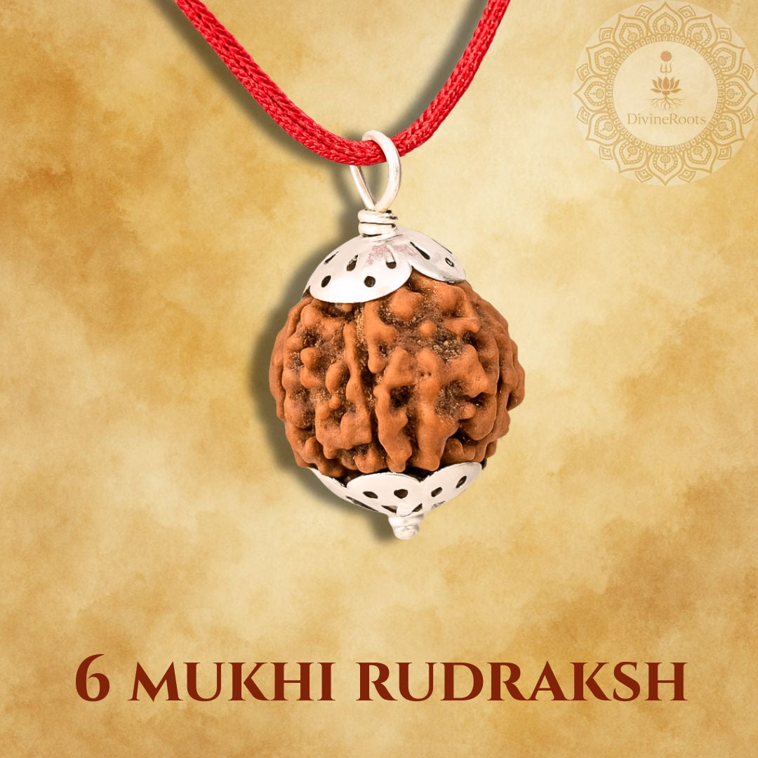 6 Mukhi Rudraksh pendant with red cord on a beige background