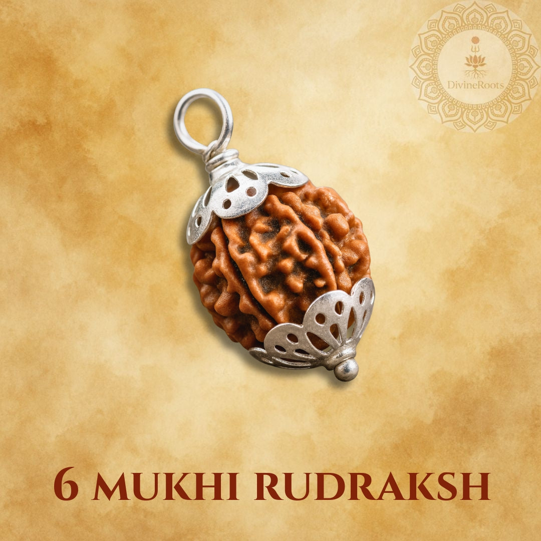 6 Mukhi Rudraksh pendant with silver frame on a beige background