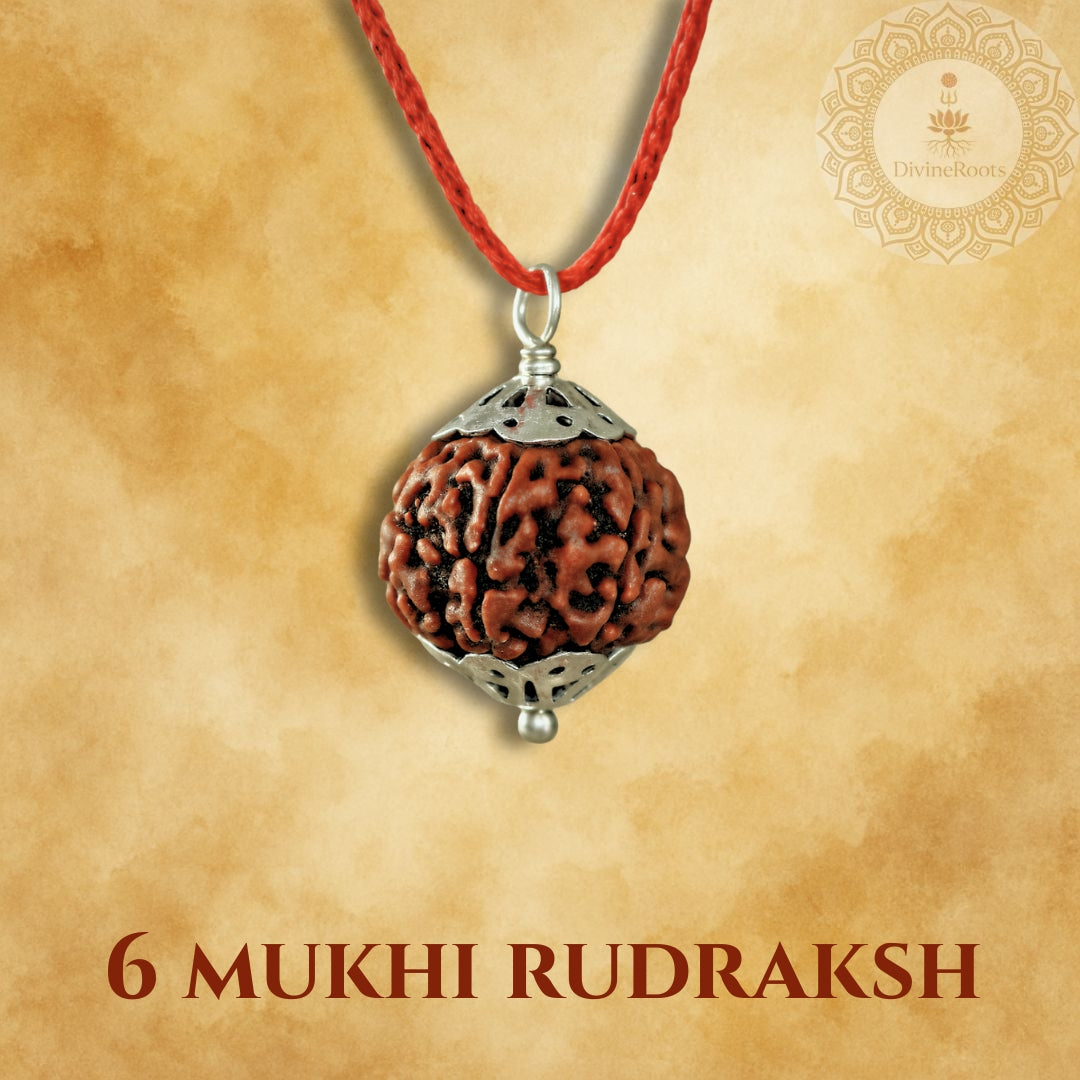 6 Mukhi Rudraksh pendant on a red cord with a beige background