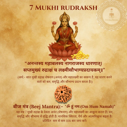 7 Mukhi Rudraksh with a deity illustration on a textured background