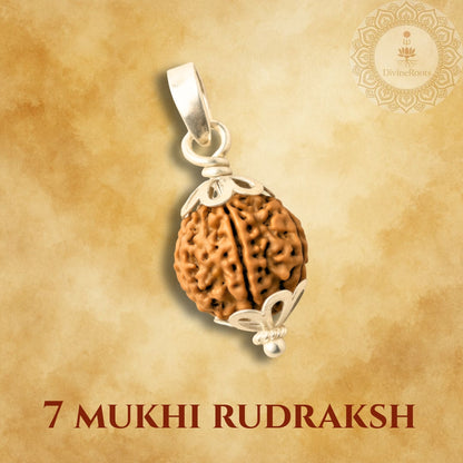 7 Mukhi Rudraksh pendant on a beige background with 'Dharmasthala' logo.