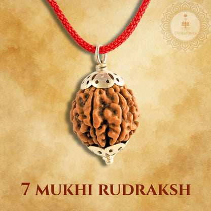 7 Mukhi Rudraksh pendant with red cord on a beige background