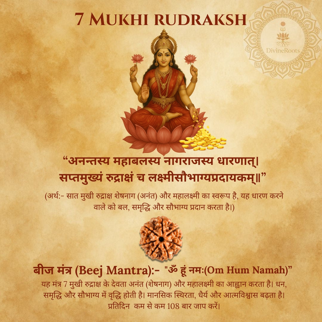 7 Mukhi Rudraksh with a deity illustration on a textured background