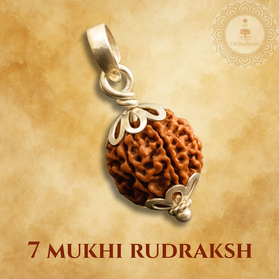 7 Mukhi Rudraksh pendant with silver wire wrapping on a beige background