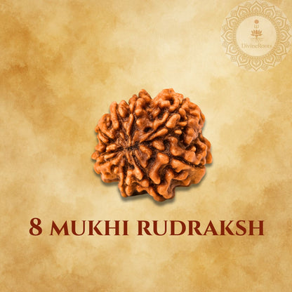 Eight-faceted Rudraksh on a beige background with '8 Mukhi Rudraksh' text.