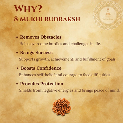 8 Mukhi Rudraksh benefits on a textured brown background with a brand logo.