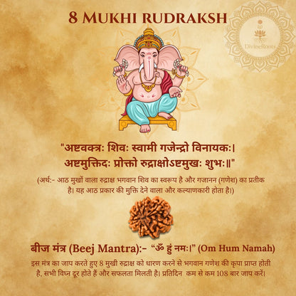Illustration of a deity with text and an 8 Mukhi Rudraksh on a textured background