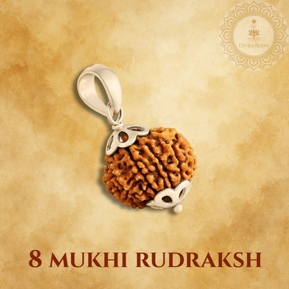 8 Mukhi Rudraksh pendant on a beige background with 'Divine Store' logo.