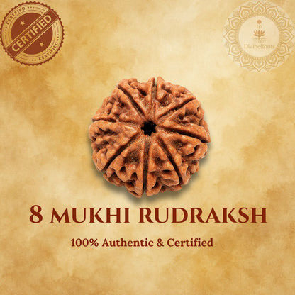 8 Mukhi Rudraksh on a beige background with certification logos.
