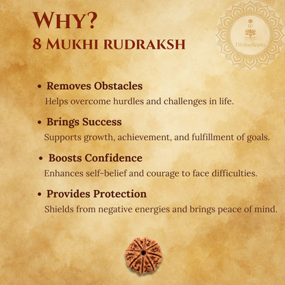 Promotional graphic for 8 Mukhi Rudraksh with benefits listed on a textured background.