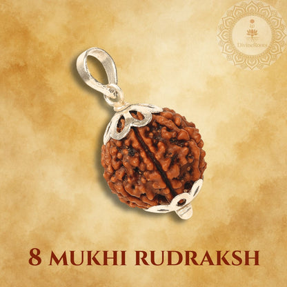 8 Mukhi Rudraksh pendant with silver chain on a beige background