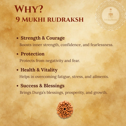 9 Mukhi Rudraksh benefits on a textured brown background with a Rudraksh stone illustration.