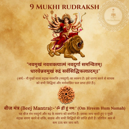 Illustration of a deity on a lion with text and a rudraksh on a beige background
