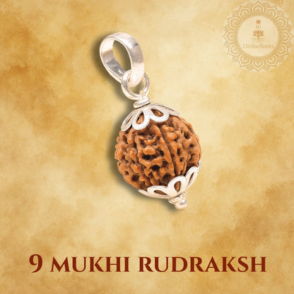 9 Mukhi Rudraksh pendant with silver frame on a beige background
