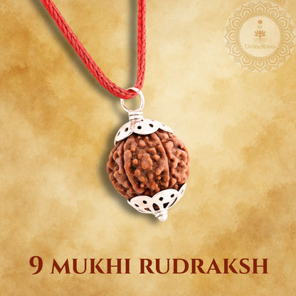 9 Mukhi Rudraksh pendant on a red cord with a gold background