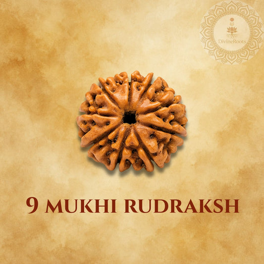 Nine-armed Rudraksh on a beige background with '9 Mukhi Rudraksh' text.