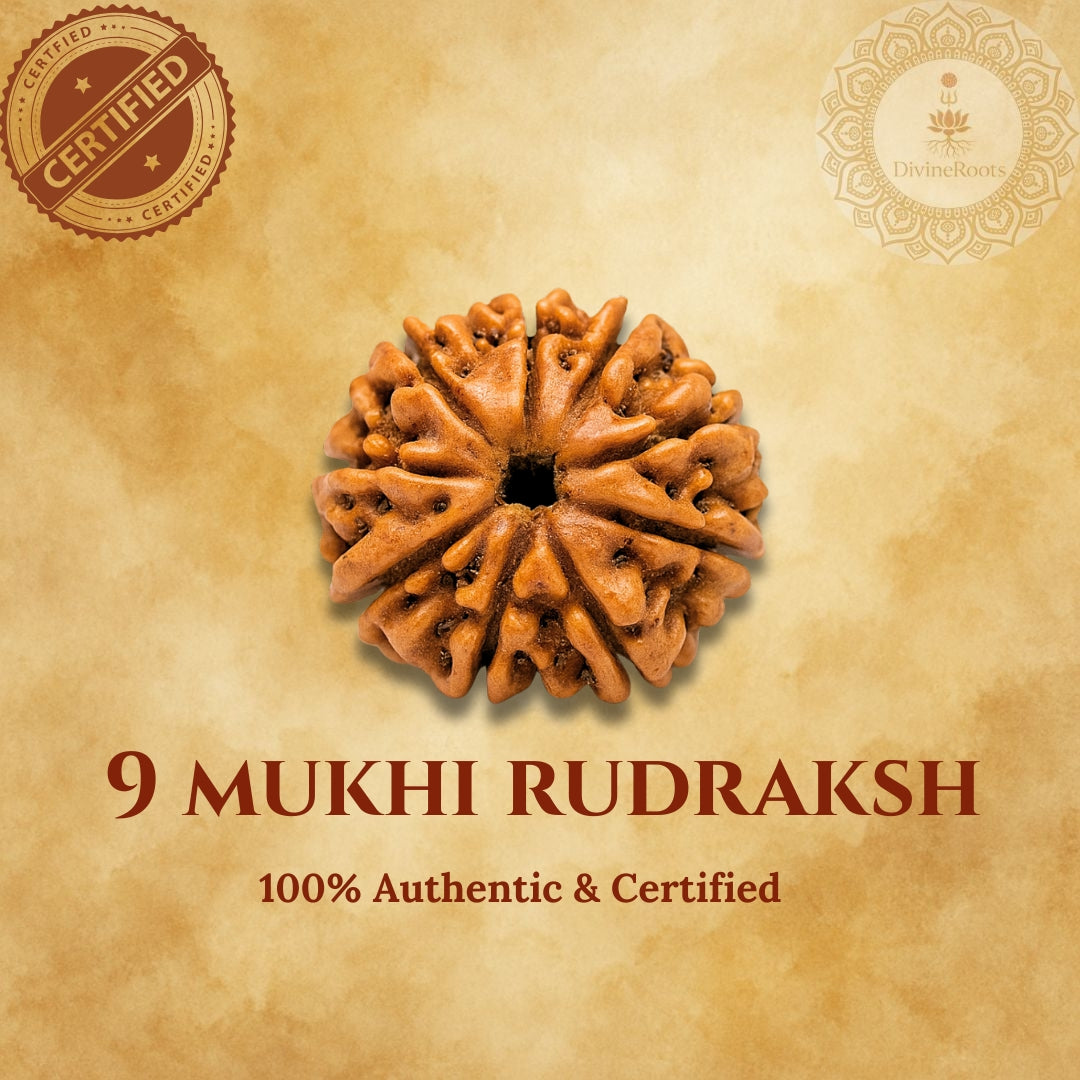 9 Mukhi Rudraksh on a beige background with certification logos.