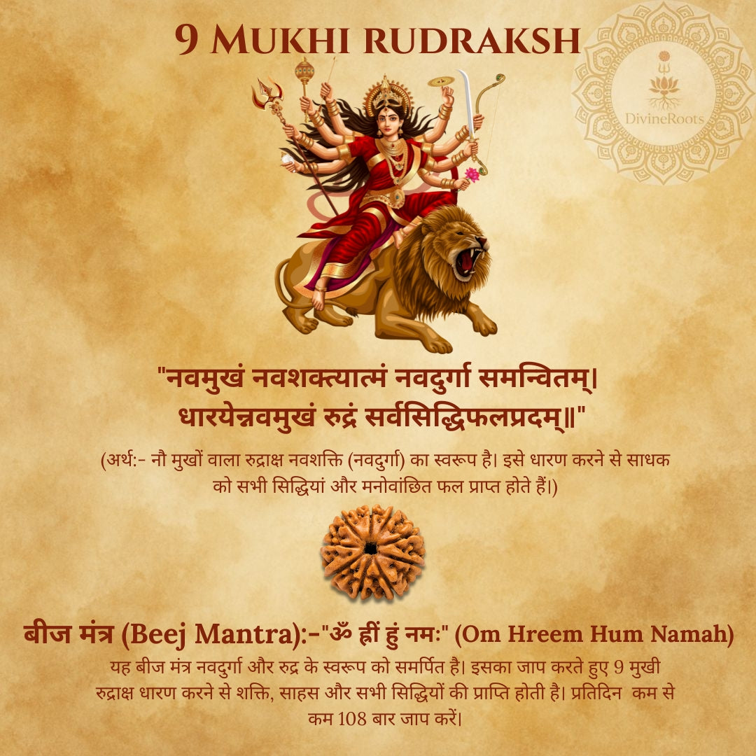 Illustration of a deity on a lion with text and a rudraksh on a brown background