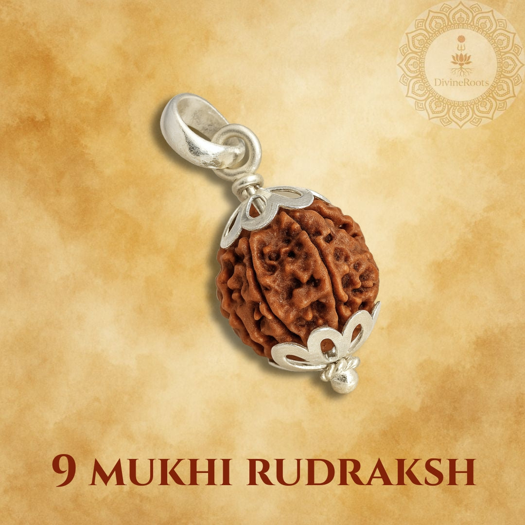 9 Mukhi Rudraksh pendant with silver setting on a beige background