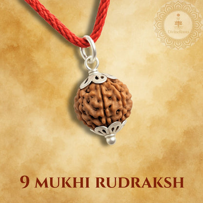 9 Mukhi Rudraksh pendant with silver bail on a red cord against a beige background