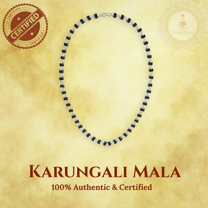 Karungali Mala – German Silver Chain | 26.5 inch | DivineRoots