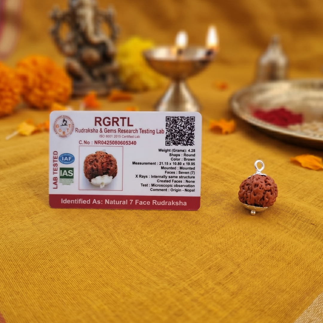 7 Mukhi Rudraksha bead with RGRTL label on a yellow fabric background